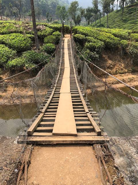 anayirangal hanging bridge